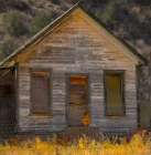 Rooster House Art Print